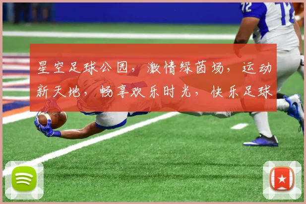 星空足球公园，激情绿茵场，运动新天地，畅享欢乐时光，快乐足球生活